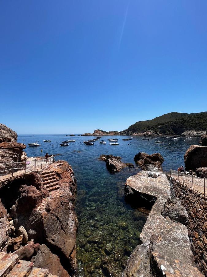 Apartment Cap Sa Sal -apartament - Costa Brava Begur